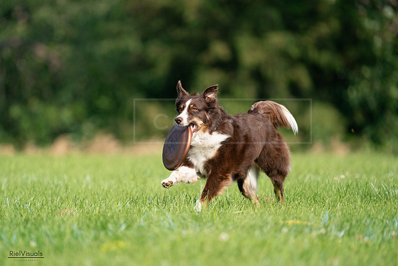 RielVisuals_20240727_095237_SJR07906