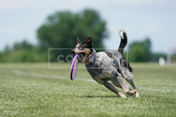 RielVisuals_20240525_122240_SJR09634