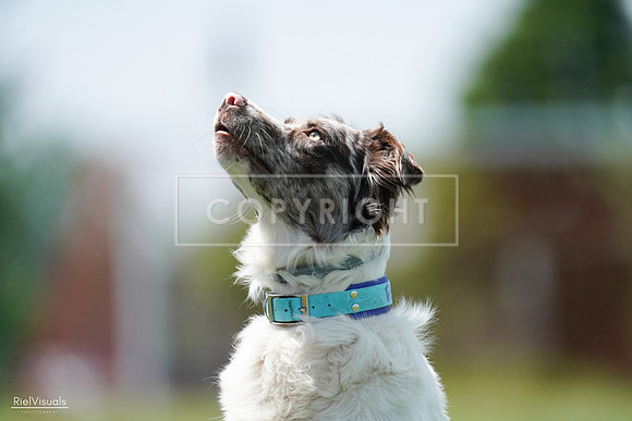 RielVisuals_20240525_120509_SJR08568