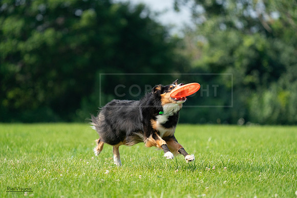 RielVisuals_20240728_100314_SJR07060