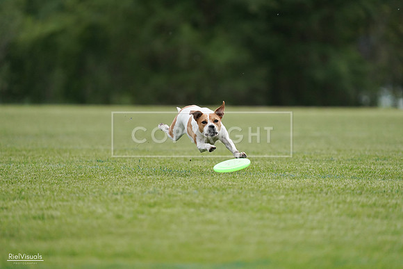 RielVisuals_20240525_161549_SJR03897