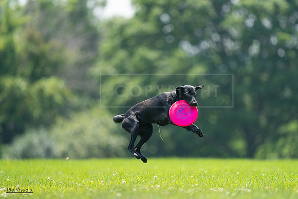 RielVisuals_20240727_131042_SJR07107
