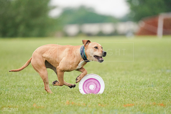 RielVisuals_20240527_111247_SJR03517