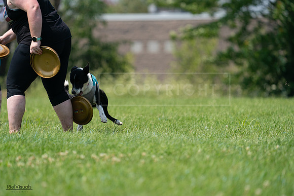 RielVisuals_20240727_135639_SJR09037