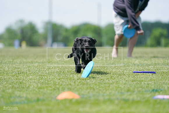 RielVisuals_20240525_121117_SJR09041