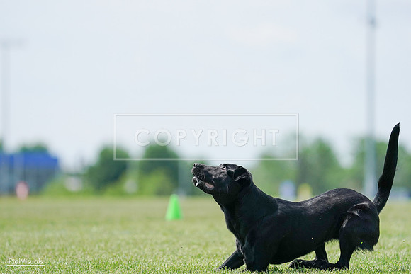 RielVisuals_20240525_123312_SJR00318