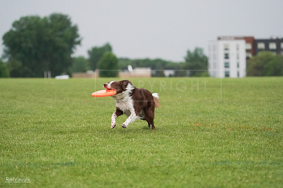 RielVisuals_20240527_091341_SJR06517