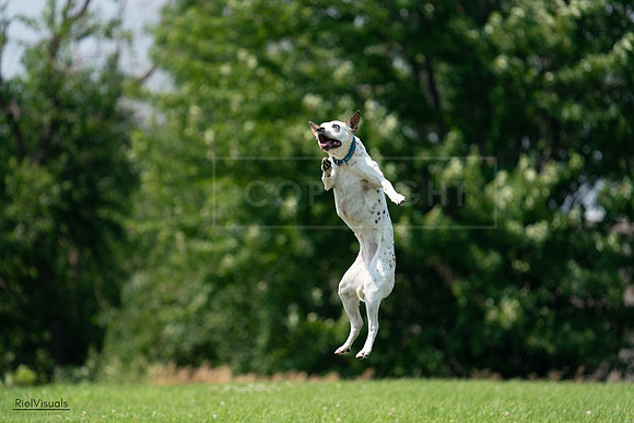 RielVisuals_20240727_134653_SJR08467