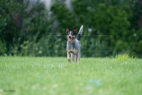 RielVisuals_20240727_133934_SJR07943