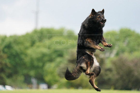 RielVisuals_20240527_132926_SJR09959