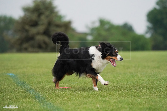 RielVisuals_20240527_091812_SJR06706
