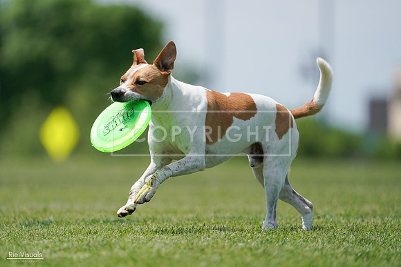 RielVisuals_20240525_121752_SJR09350