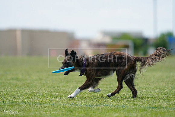RielVisuals_20240525_124029_SJR00755