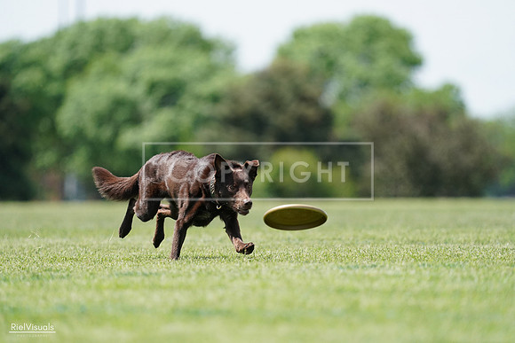 RielVisuals_20240525_120822_SJR08810