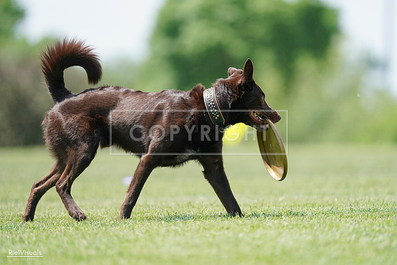 RielVisuals_20240525_120924_SJR08957
