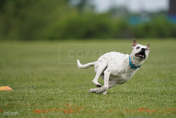 RielVisuals_20240526_090740_SJR09106