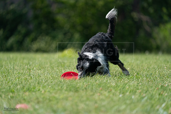 RielVisuals_20240728_145642_SJR09650