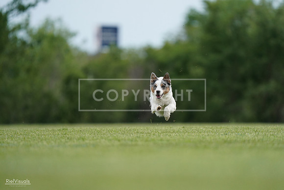 RielVisuals_20240525_161237_SJR03784