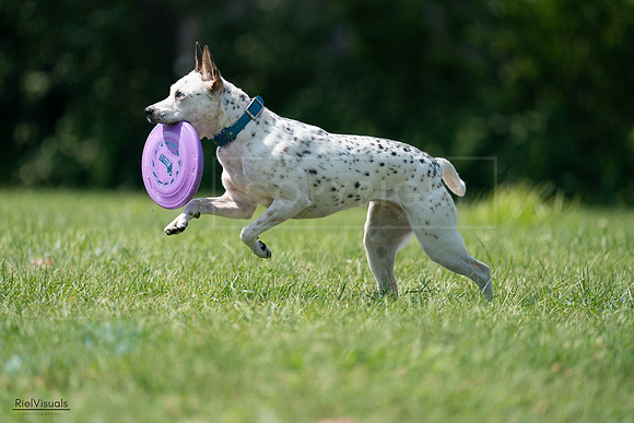 RielVisuals_20240728_151555_SJR00441