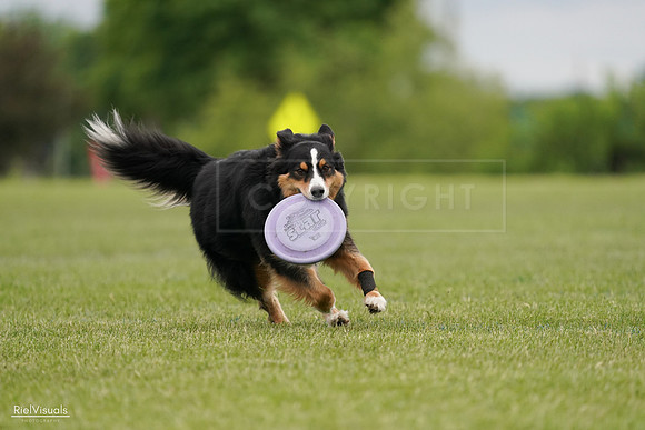 RielVisuals_20240526_135249_SJR09408