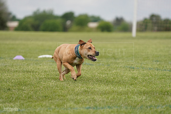 RielVisuals_20240526_135018_SJR09213