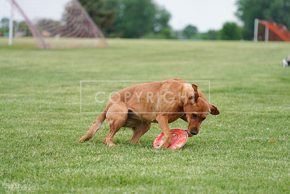 RielVisuals_20240525_165902_SJR05761