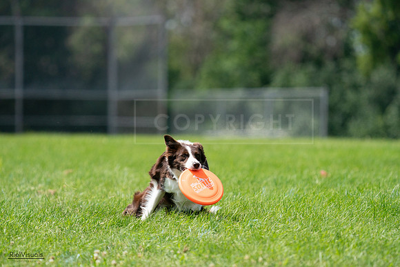 RielVisuals_20240728_120956_SJR03142
