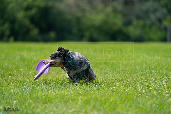 RielVisuals_20240728_121403_SJR03334