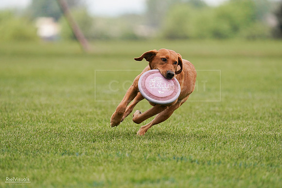 RielVisuals_20240527_141120_SJR01839