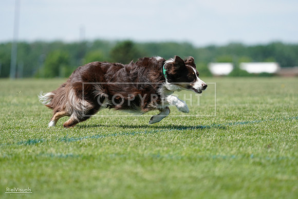 RielVisuals_20240525_120104_SJR08344