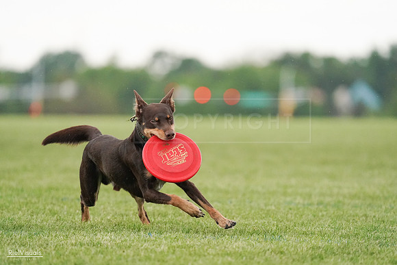 RielVisuals_20240526_095707_SJR01474