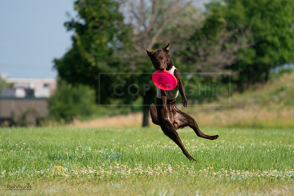 RielVisuals_20240727_092508_SJR06252