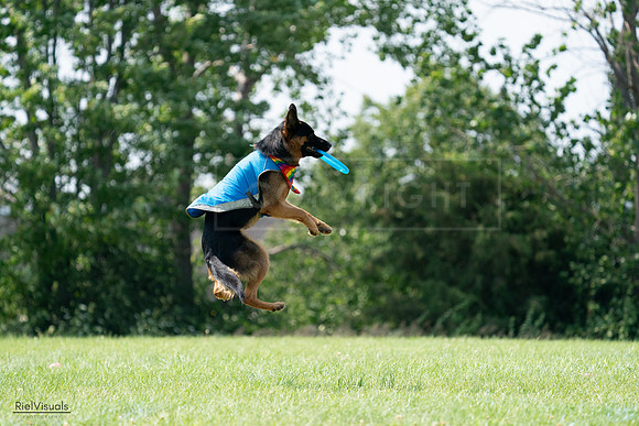 RielVisuals_20240728_150441_SJR00059