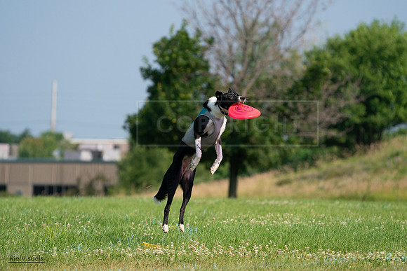 RielVisuals_20240727_094127_SJR07203