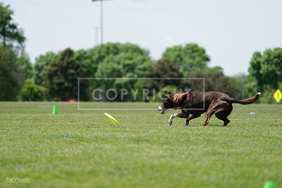 RielVisuals_20240525_121927_SJR09463