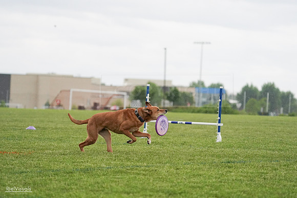 RielVisuals_20240526_093638_SJR00526