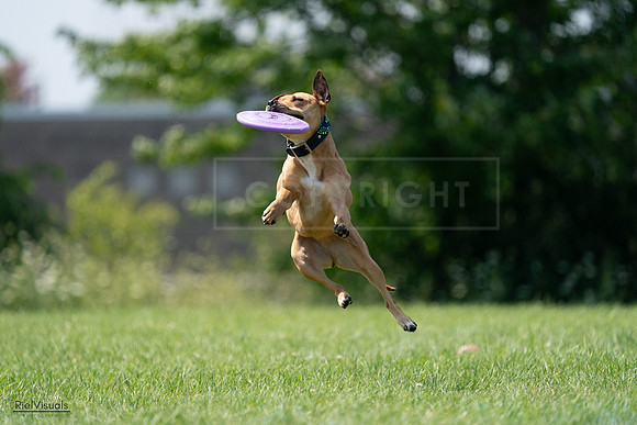 RielVisuals_20240728_150740_SJR00150