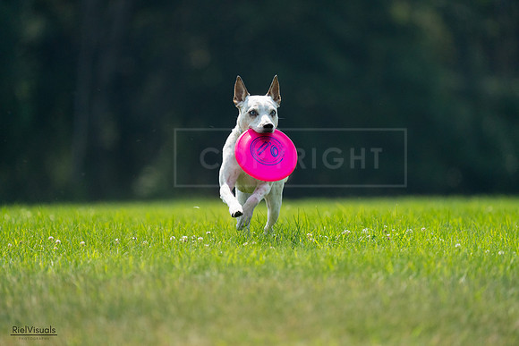 RielVisuals_20240727_120944_SJR04876