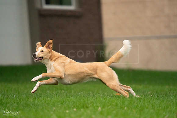 RielVisuals_20240722_200917_SJR03062