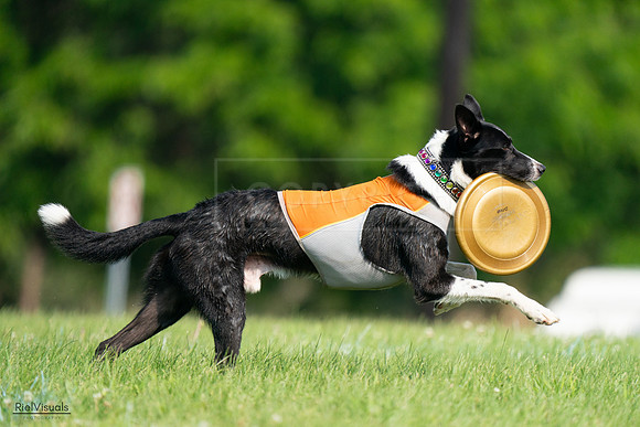 RielVisuals_20240728_101559_SJR07595