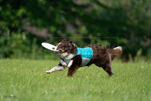 RielVisuals_20240728_102006_SJR07843