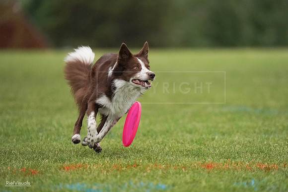 RielVisuals_20240527_091411_SJR06560