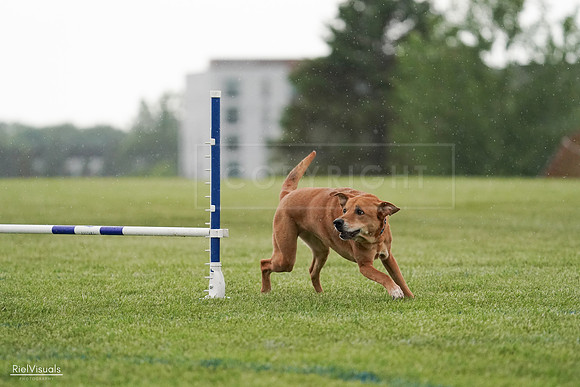 RielVisuals_20240526_093702_SJR00598