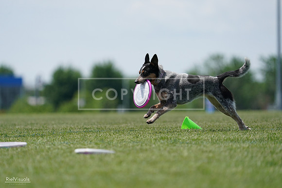 RielVisuals_20240525_122250_SJR09650