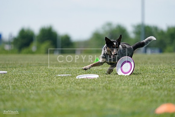 RielVisuals_20240525_122334_SJR09727