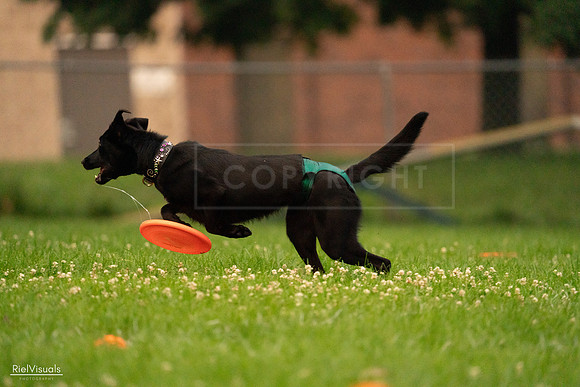 RielVisuals_20240722_195943_SJR02659