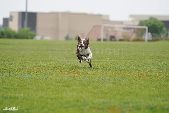 RielVisuals_20240527_100959_SJR09409