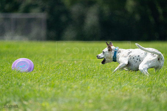 RielVisuals_20240728_140053_SJR07809