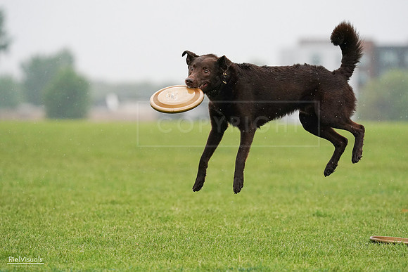 RielVisuals_20240527_104033_SJR01105