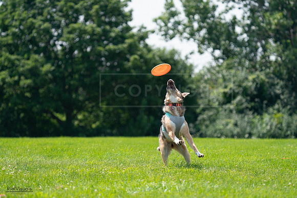 RielVisuals_20240728_124920_SJR04744